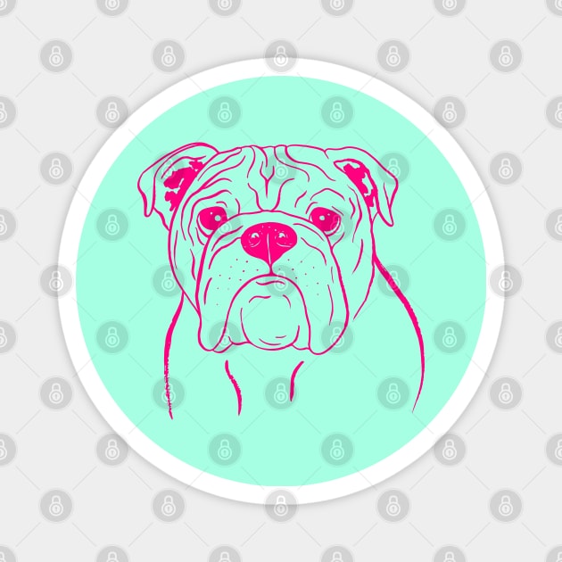 English Bulldog (Mint and Hot Pink) Magnet by illucalliart